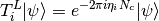 T_i^L \vert \psi \rangle = e^{-2\pi i\eta_i N_c} \vert \psi \rangle
